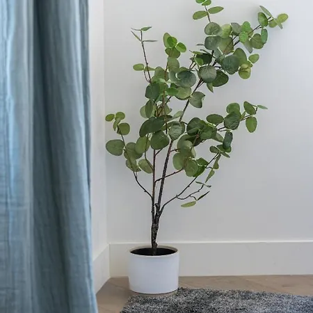 2 Bavastro - Beau 2 Pieces Lumineux Et Cosy - Climatise Apartamento